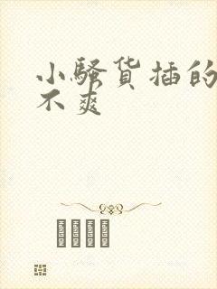 小骚货插的你爽不爽