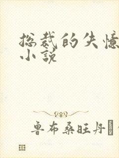 总裁的失忆甜妻小说