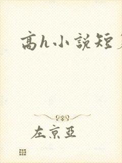 高h小说短篇肉