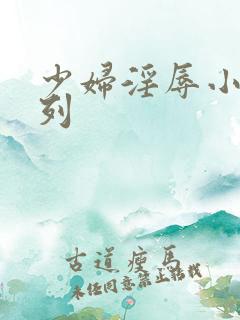 少妇淫辱小说系列