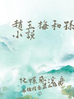 赵玉梅和孙明的小说