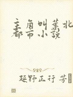 主角叫叶北玄的都市小说