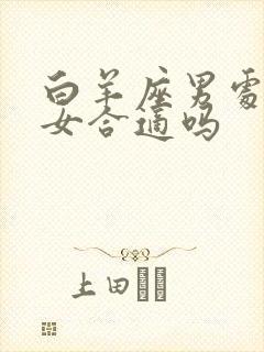 白羊座男处女座女合适吗