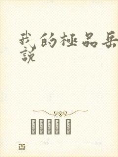 我的极品岳母小说