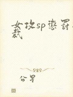 女攻sp惩罚总裁