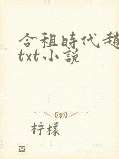 合租时代赵大勇txt小说