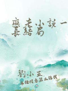 恋老小说一老局长结局