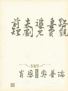 前夫追妻路漫漫短剧免费观看