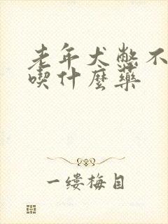 老年犬憋不住尿吃什么药