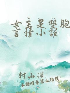 女主是双胞胎的言情小说