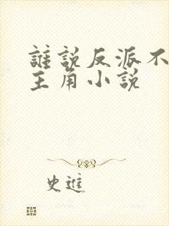 谁说反派不能当主角小说