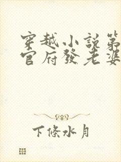 穿越小说第一章官府发老婆这个是什么小说