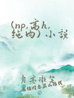 (np,高h,纯肉) 小说