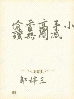 偷香高手小说阅读无删减