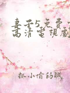 妻子5免费完整高清电视剧在线