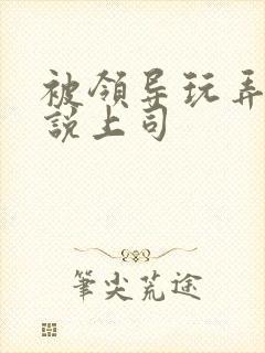 被领导玩弄的小说上司