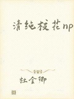 清纯校花np