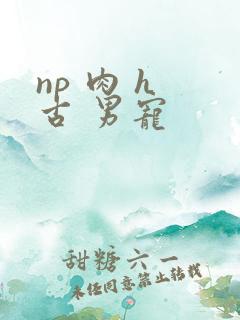 np 肉 h 古 男宠