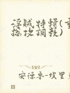 淫贼特辑(重口总攻调教)