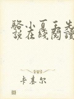 骆小夏王先生小说在线阅读