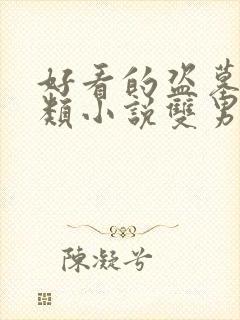 好看的盗墓探险类小说双男主