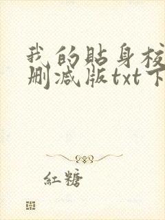 我的贴身校花未删减版txt下载