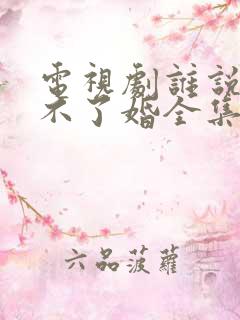 电视剧谁说我结不了婚全集免费播放