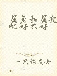 属兔和属龙的婚配好不好