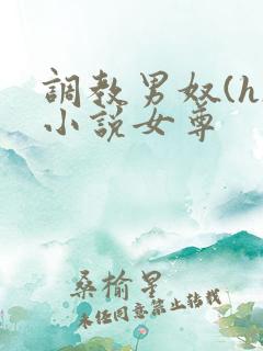 调教男奴(h)小说女尊