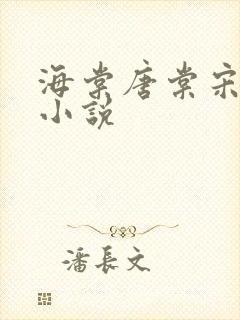 海棠唐棠宋天江小说