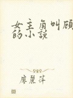 女主角叫顾南笙的小说