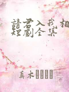 请君入我相思局短剧全集