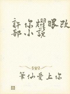 许你耀眼改编哪部小说