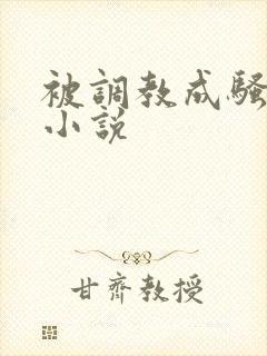 被调教成骚货的小说