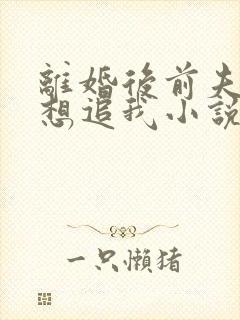 离婚后前夫总是想追我小说全集