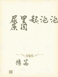 尿里起泡泡什么原因