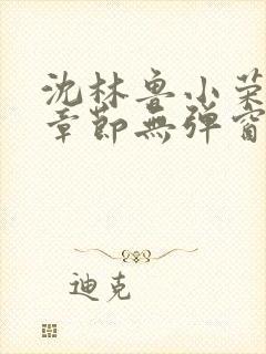 沈林鲁小荣最新章节无弹窗笔趣阁