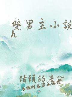 双男主小说双性h