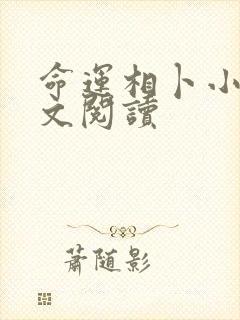 命运相卜小说全文阅读