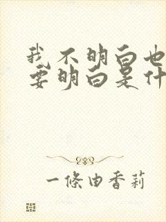 我不明白也不需要明白是什么歌