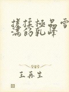 搓揉极品雪白丰满的乳峰