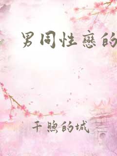 男同性恋的视频