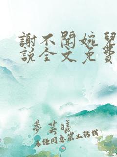 谢不闻婉儿的小说全文免费阅读无弹窗