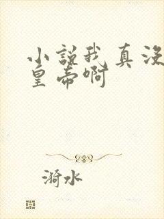 小说我真没想当皇帝啊