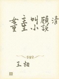 女主叫顾清欢的重生小说