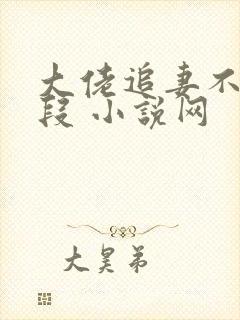 大佬追妻不择手段 小说网