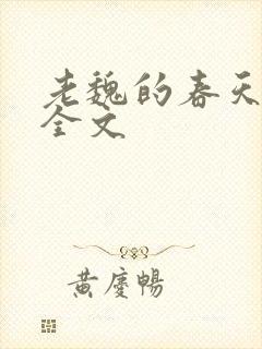 老魏的春天小说全文