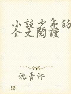 小说少年的阿宾全文阅读