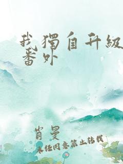 我独自升级漫画番外