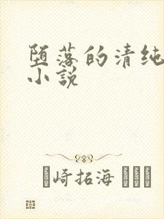 堕落的清纯校花小说